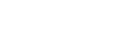 Nopein-Logo-Transparent