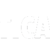netticasinoita photo